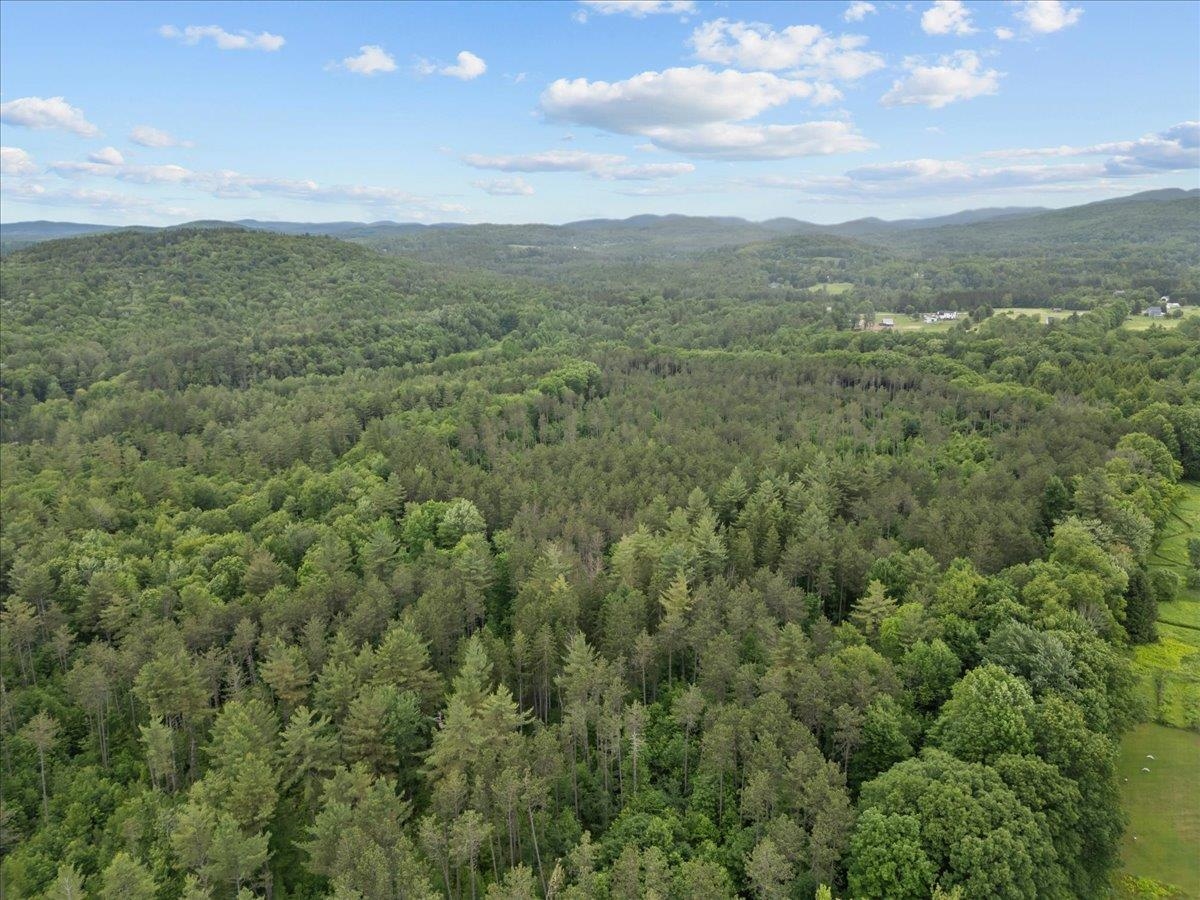 91 Governor Peck Road Jericho, VT 05465 - Photo 13 of 15