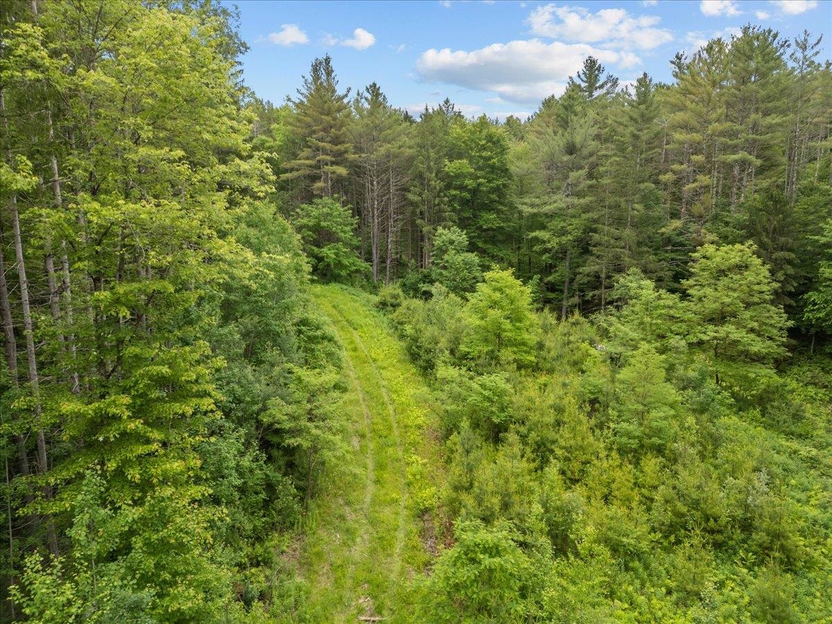 91 Governor Peck Road Jericho, VT 05465 - Photo 6 of 15