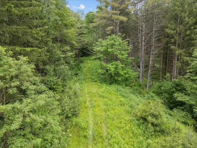 $1,050,000 | 91 Governor Peck Road, Jericho, VT 05465