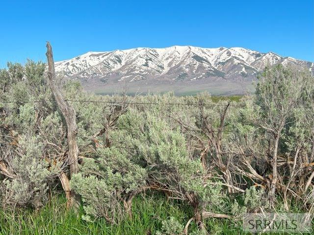 Lot B Jensen Road McCammon, ID 83250 - Photo 12 of 33