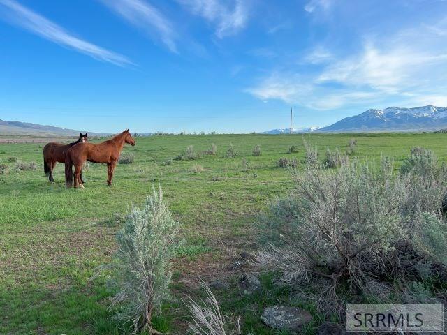 Lot B Jensen Road McCammon, ID 83250 - Photo 15 of 33