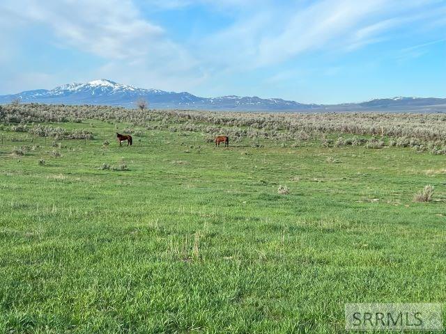 Lot B Jensen Road McCammon, ID 83250 - Photo 5 of 33