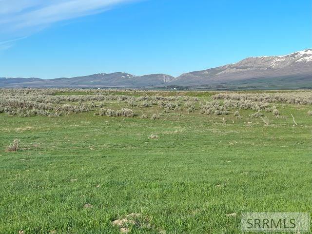 Lot B Jensen Road McCammon, ID 83250 - Photo 6 of 33