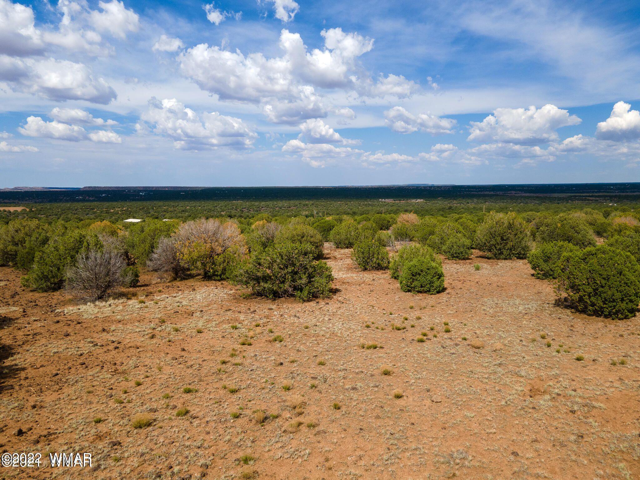 2167 Kc Ranch Road Show Low, AZ 85901 - Photo 6 of 10 Gallery Image 6