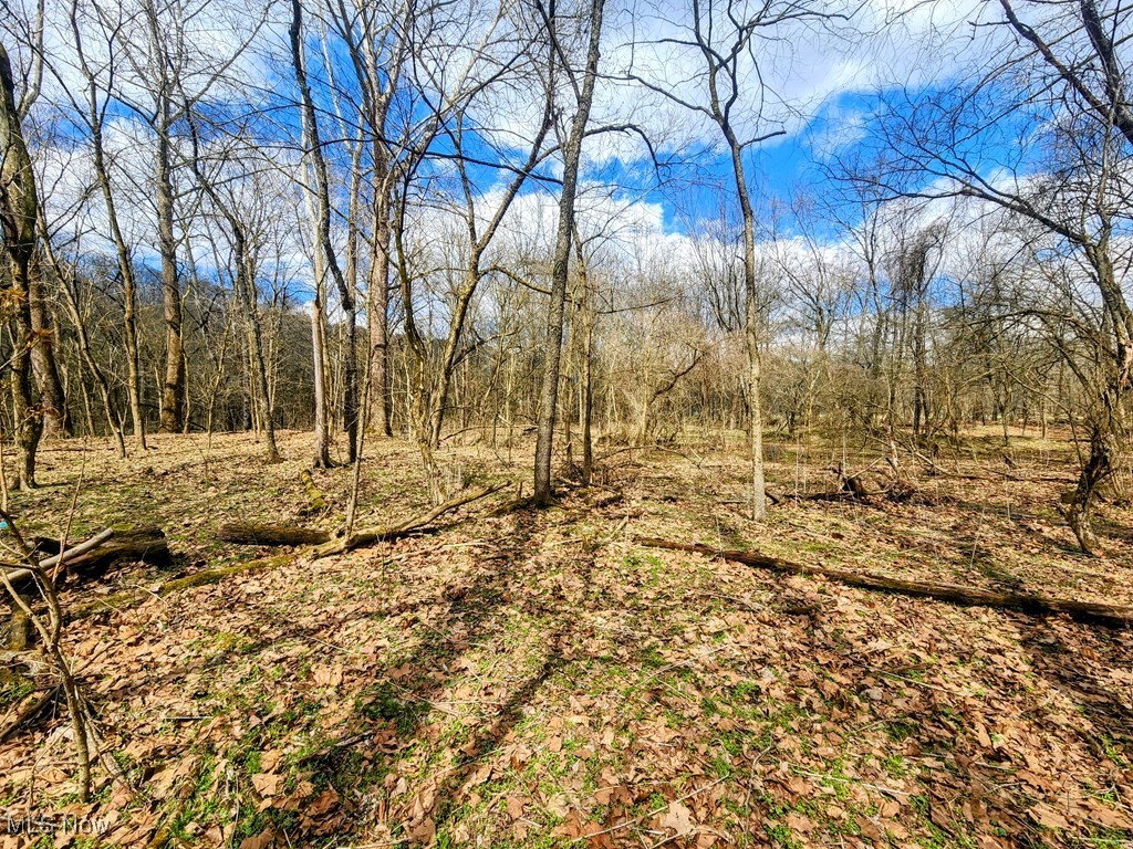Kings Creek Road New Cumberland, WV 26047 - Photo 10 of 18