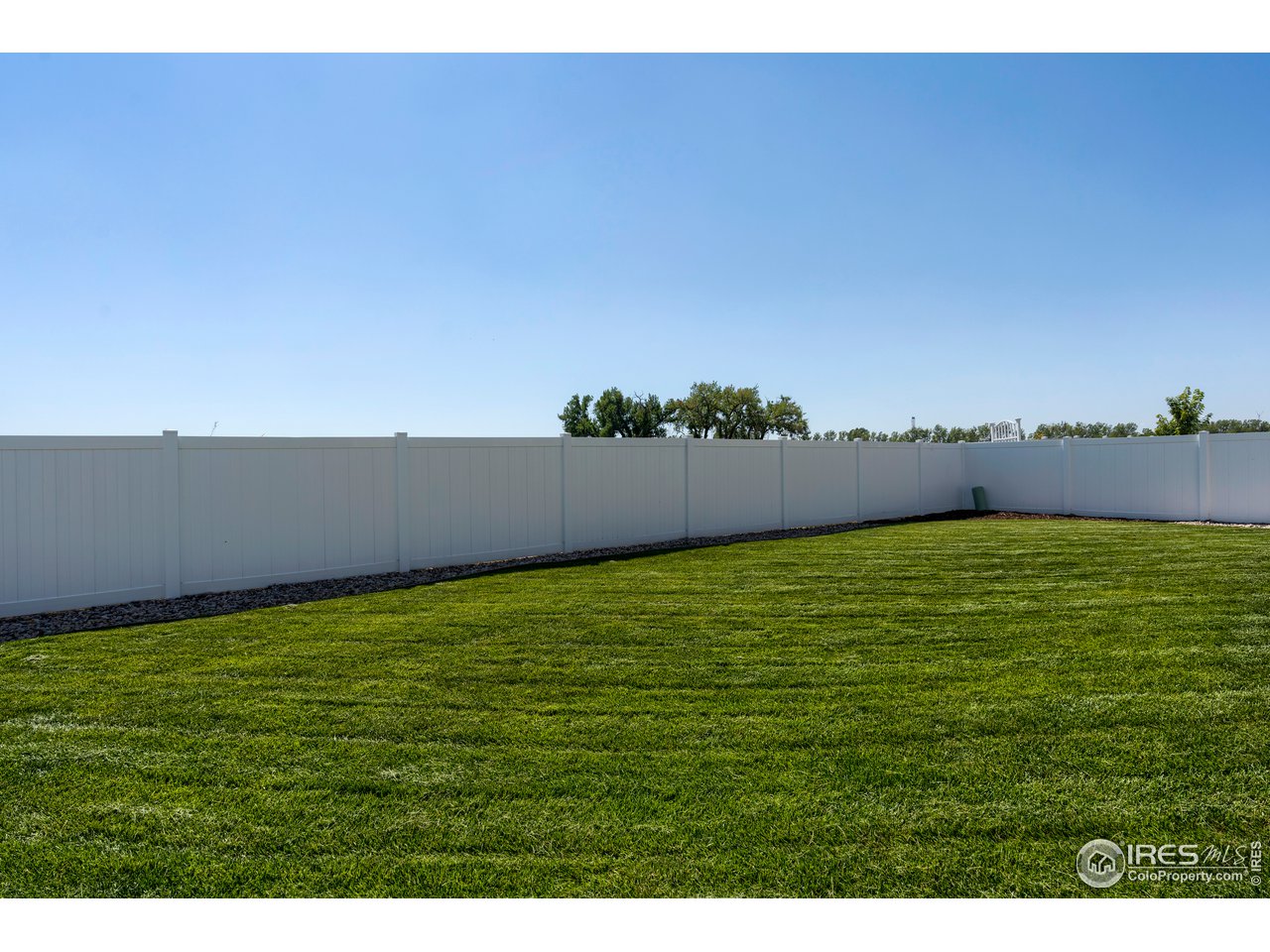 7424 23rd St Road Greeley, CO 80634 - Photo 8 of 40 Nice lawn in backyard