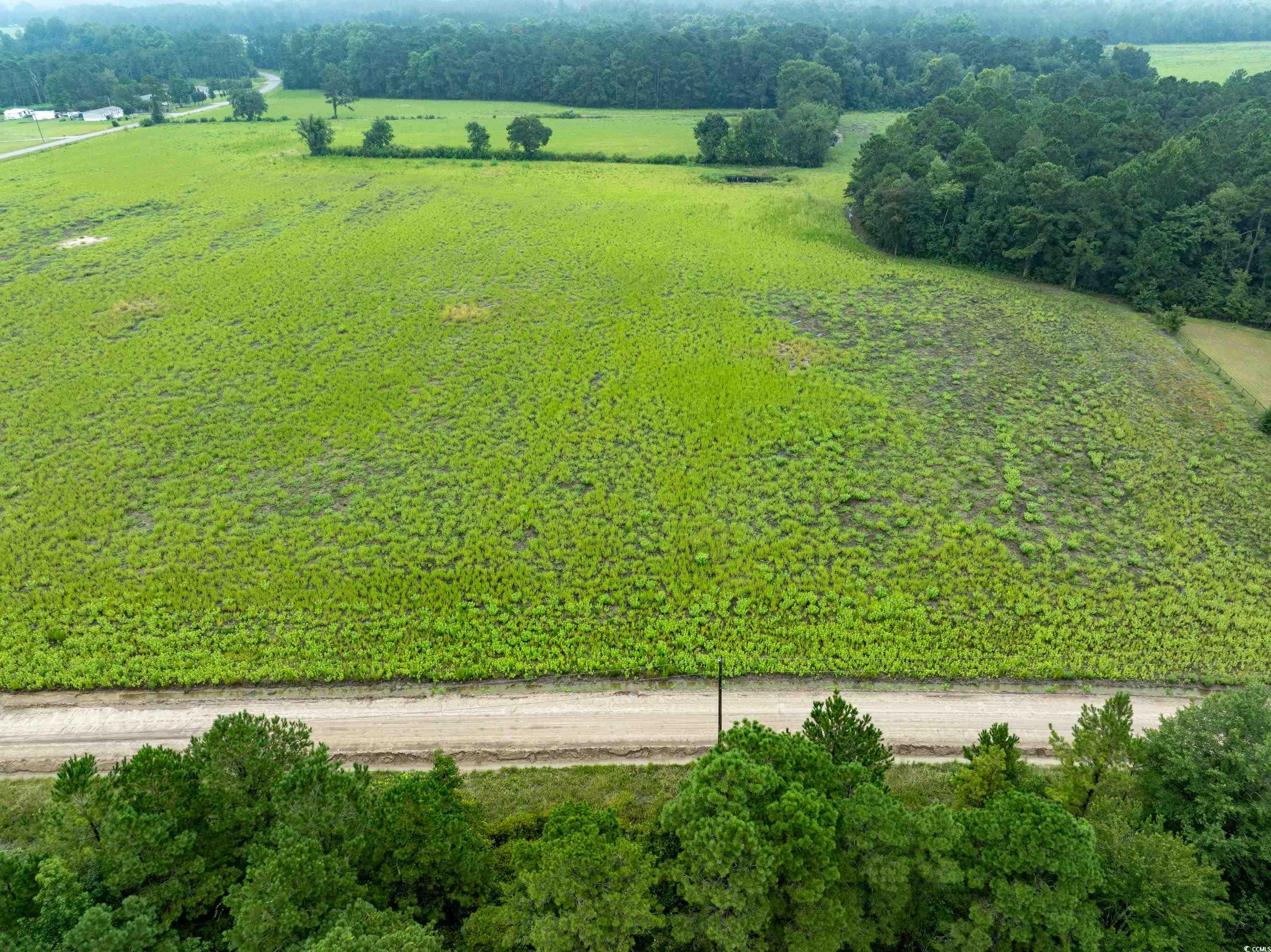 Tbd Lot 2 Tbd Road Loris, SC 29569 - Photo 2 of 4 Overview of rural landscape
