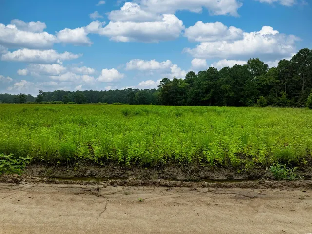 $65,000 | Tbd Lot 2 Tbd Road, Loris, SC 29569