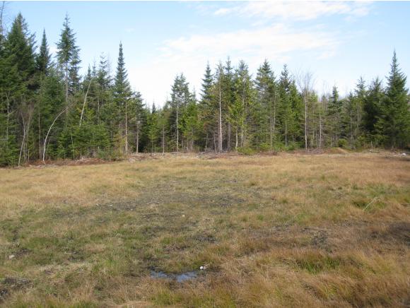 Lot 1 Carter Road East Burke, VT 05832 - Photo 4 of 9 Gallery Image 4