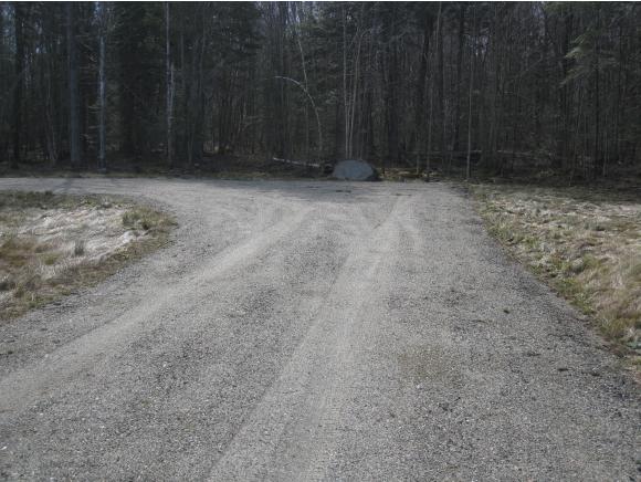 Lot 1 Carter Road East Burke, VT 05832 - Photo 7 of 9 Gallery Image 7