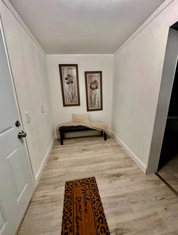 409 Southwest 2nd Avenue Mulberry, FL 33860 - Photo 3 of 21