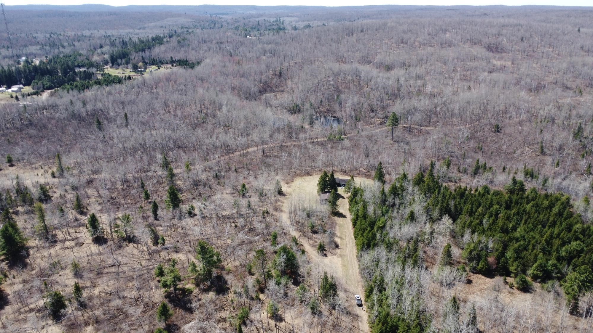 45-acres Turtle Lake Road White Lake, WI 54491 - Photo 6 of 7