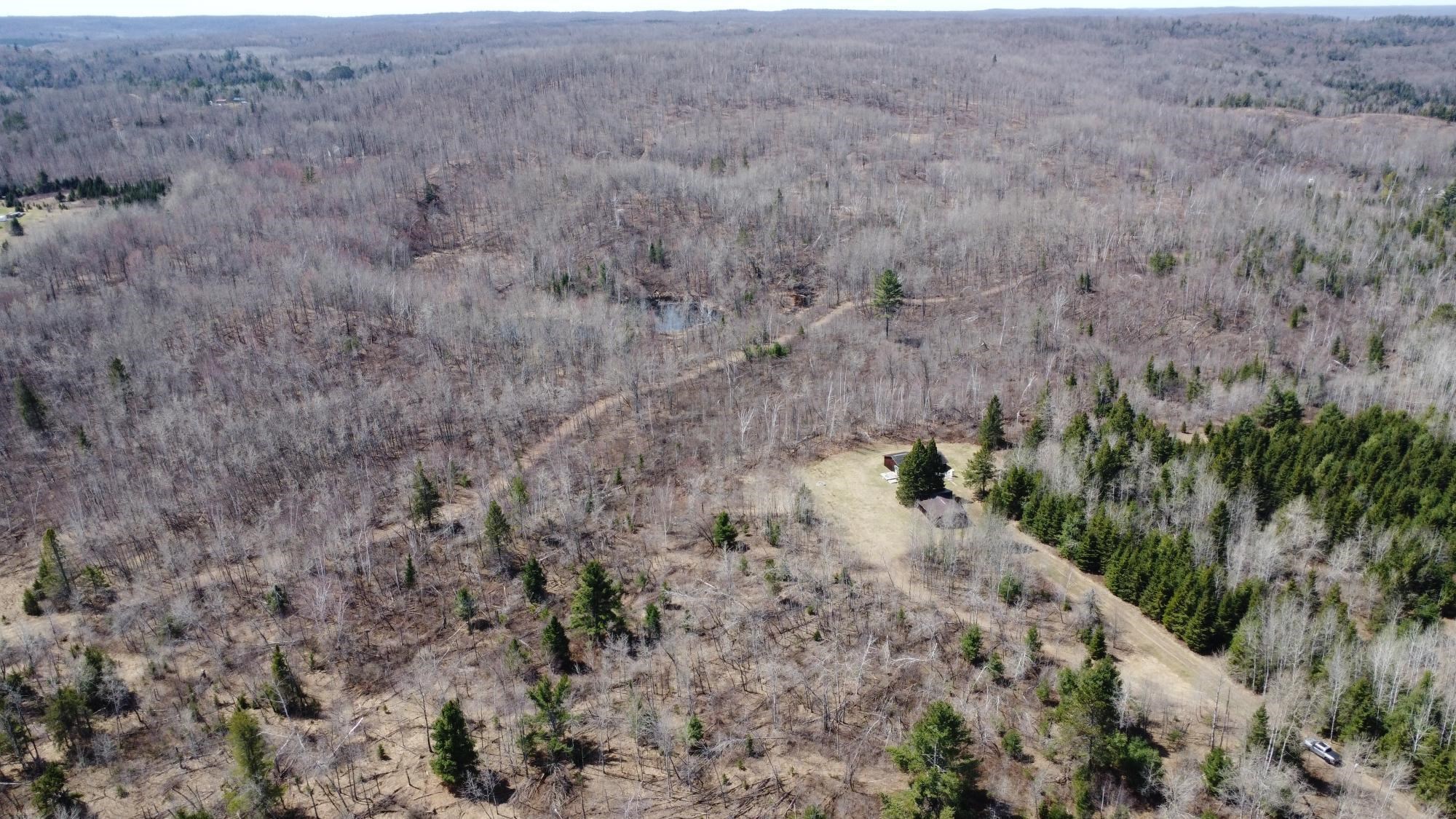 45-acres Turtle Lake Road White Lake, WI 54491 - Photo 7 of 7