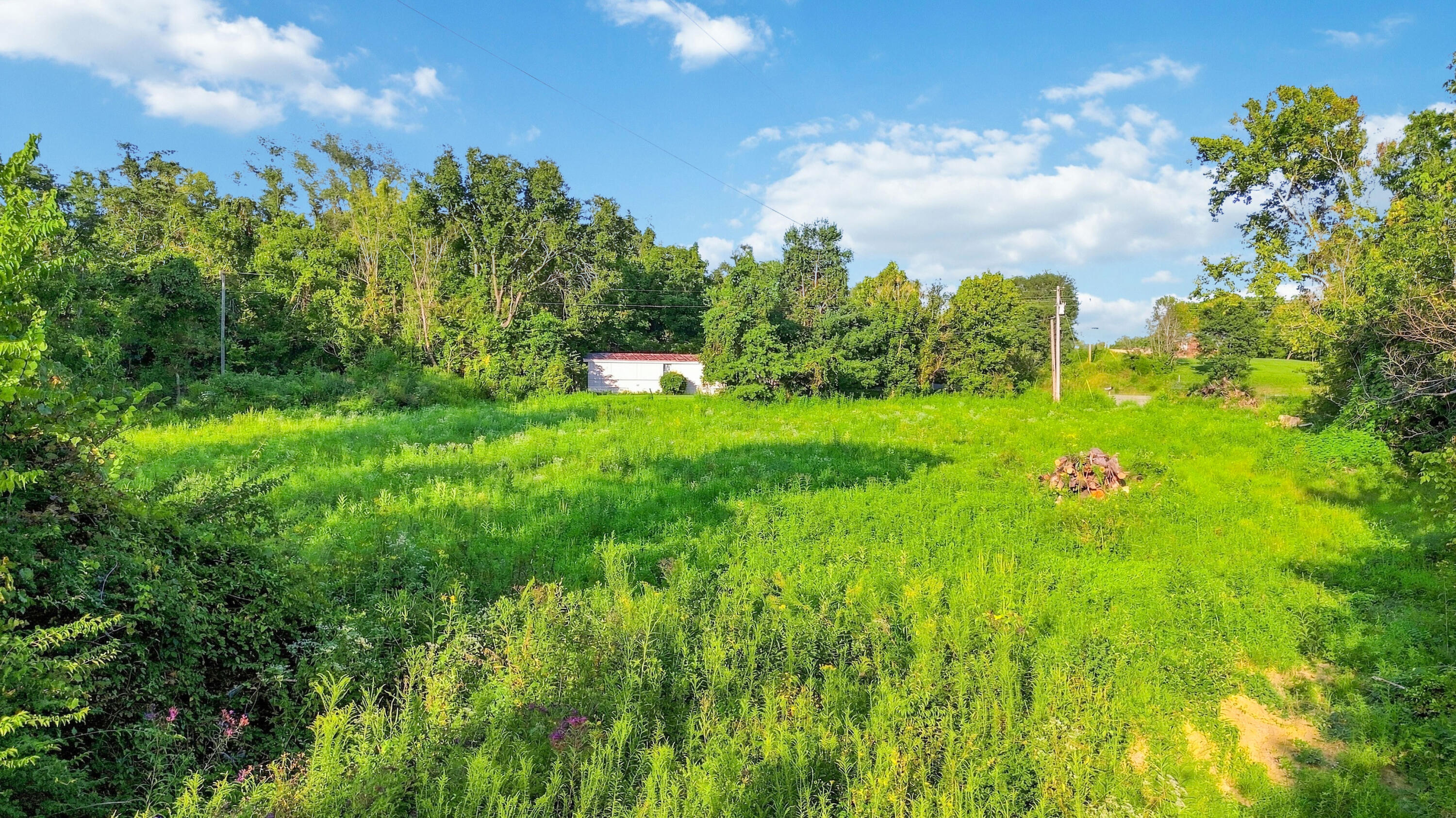 729 Richmond Road North Berea, KY 40403 - Photo 5 of 21 013