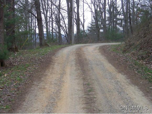 0 Dawn Valley Road Waynesville, NC 28785 - Photo 4 of 5 a view of a forest with trees in the background