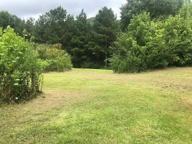 2955 Smith Chapel Road Carbon Hill, AL 35549 - Photo 16 of 25 Gallery Image 16