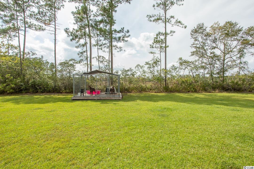 245 Perrin Road Loris, SC 29569 - Photo 35 of 40 Gallery Image 35
