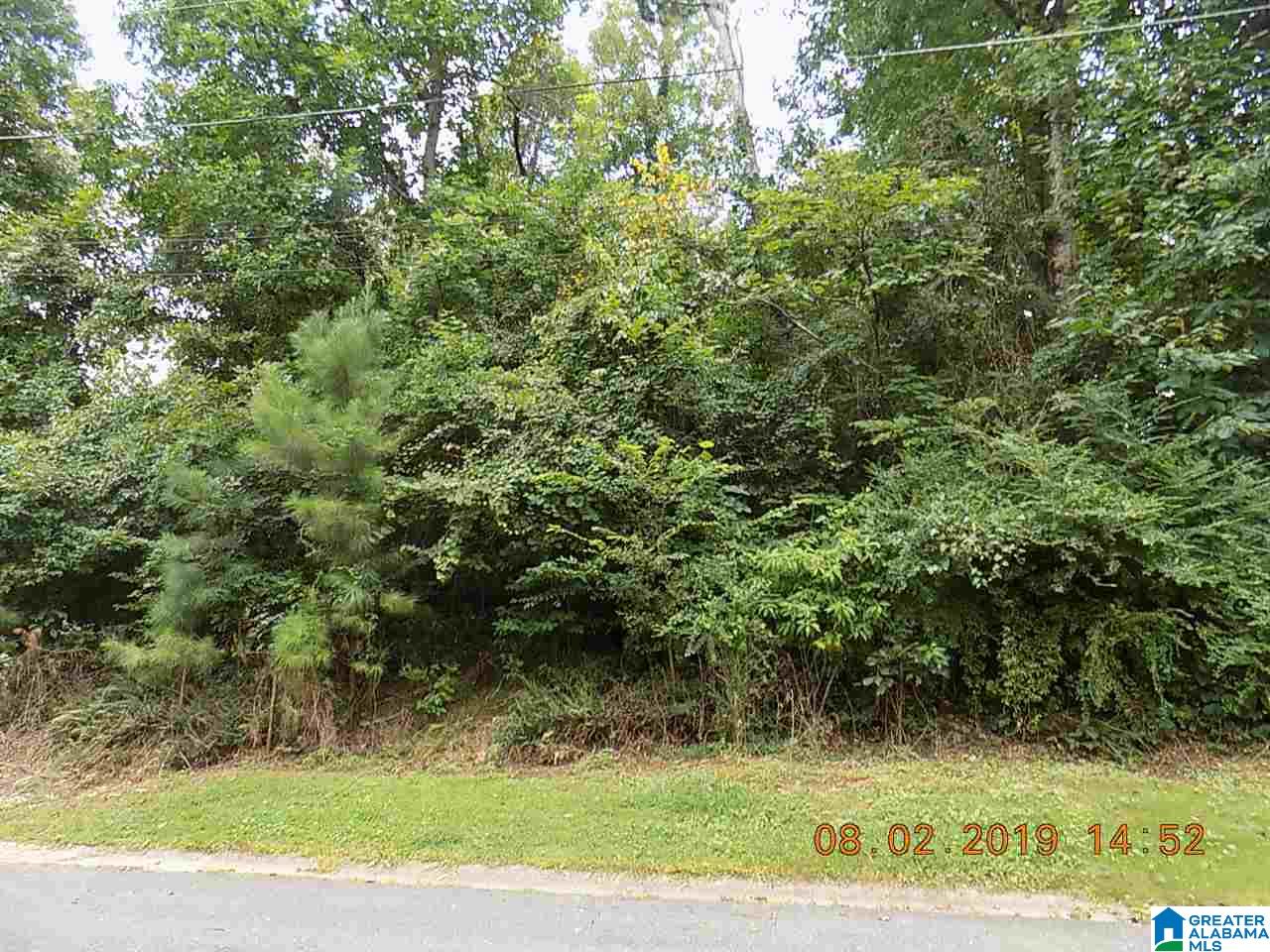 Lot 2 Ridgewood Lane, Unit 2 Odenville, AL 35120 - Photo 1 of 3