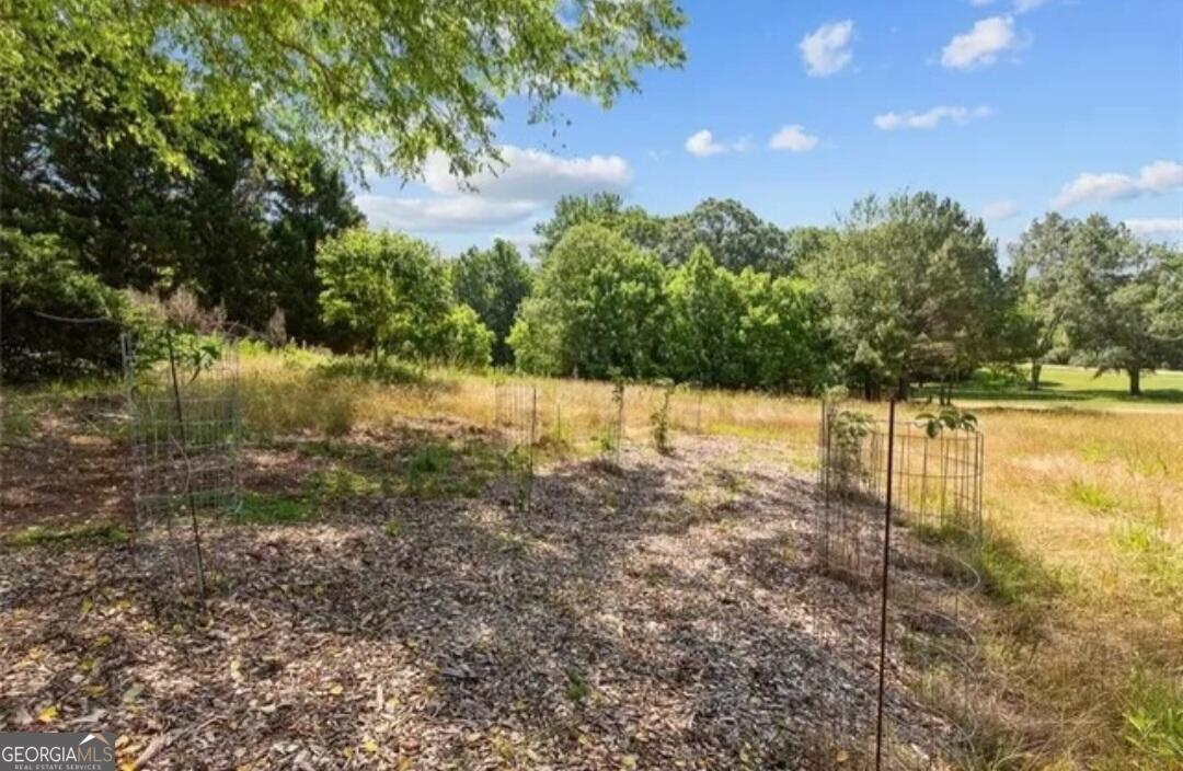 670 Cedar Grove Church Road Winder, GA 30680 - Photo 52 of 61