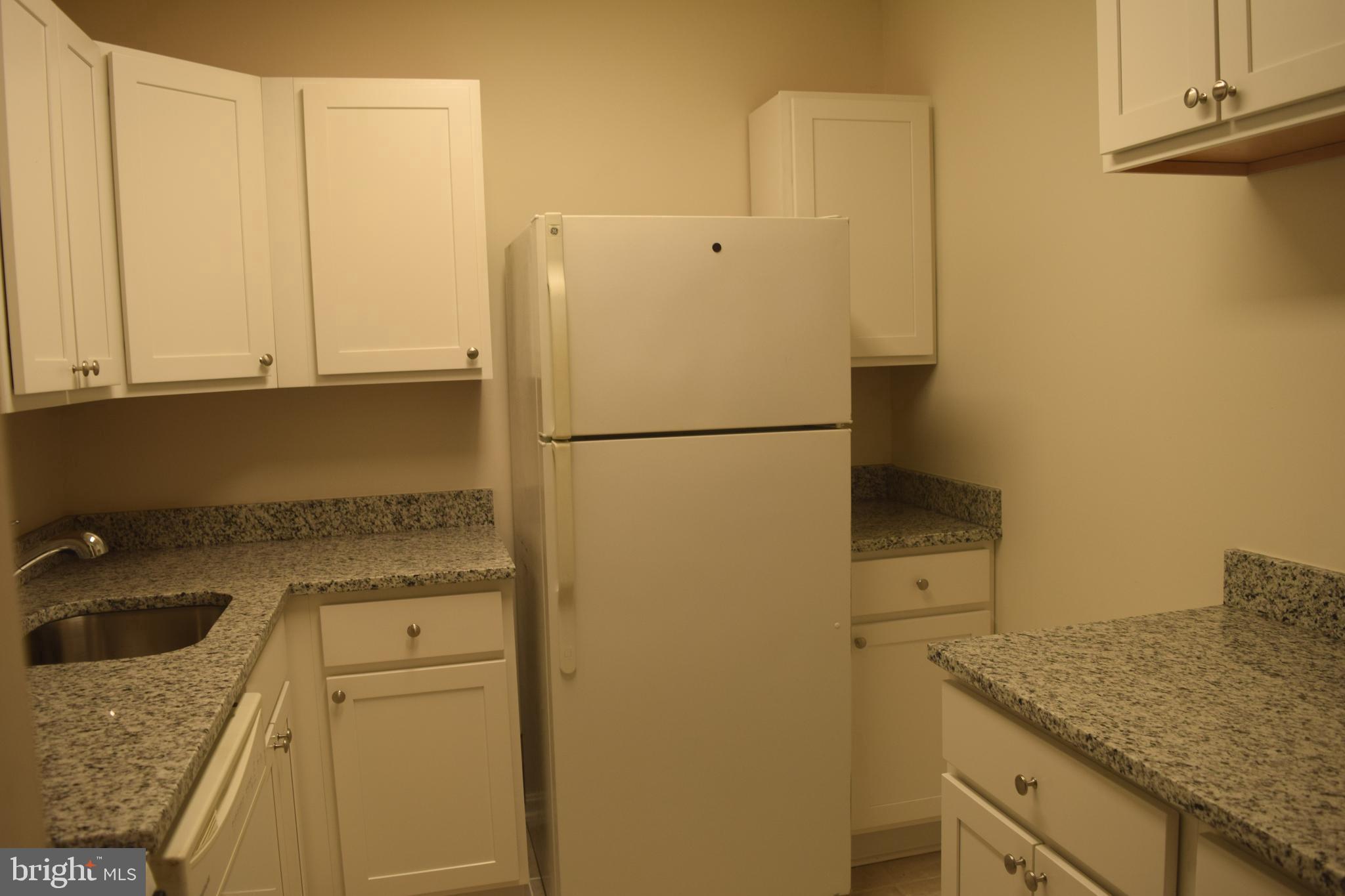 10566 Twin Rivers Road, Unit F1 Columbia, MD 21044 - Photo 31 of 44 Updated Kitchen