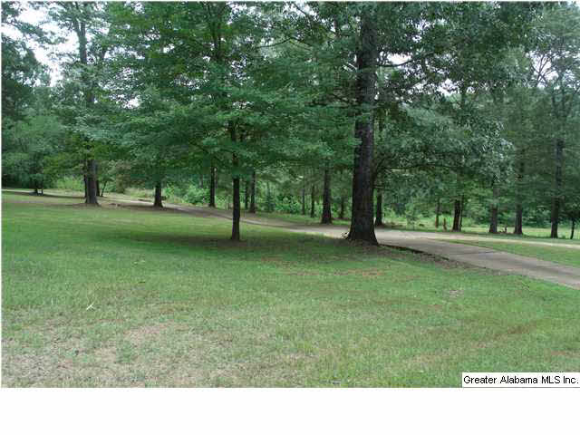 1090 Talladega Creek Road Talladega, AL 35160 - Photo 21 of 25