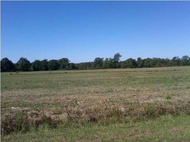 2 Leesburg Road Pelahatchie, MS 39145 - Photo 1 of 1 Photo 1