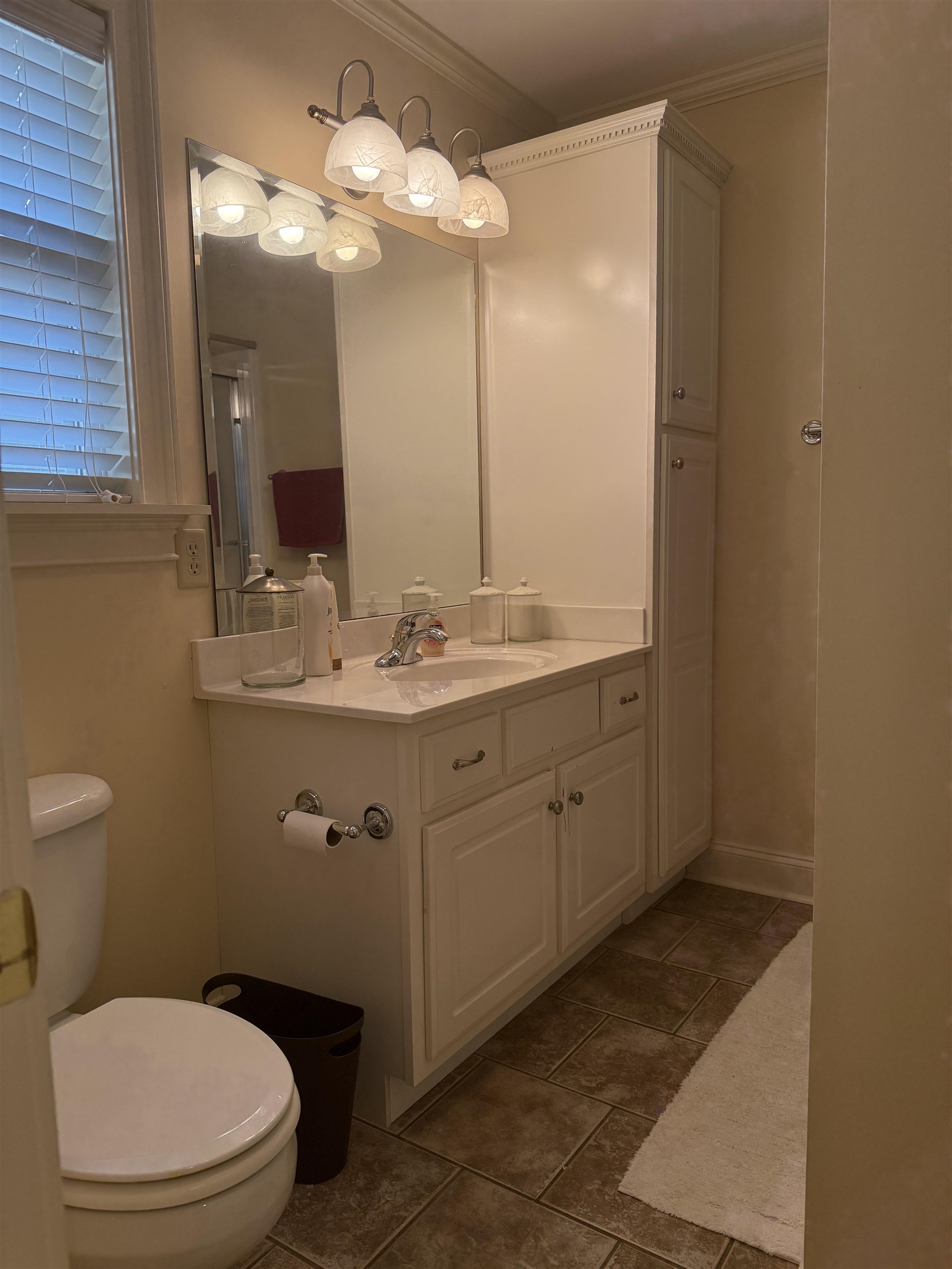 14 Patsy Path Iuka, MS 38852 - Photo 18 of 33 Bathroom featuring ornamental molding, toilet, vanity, and stone finish flooring