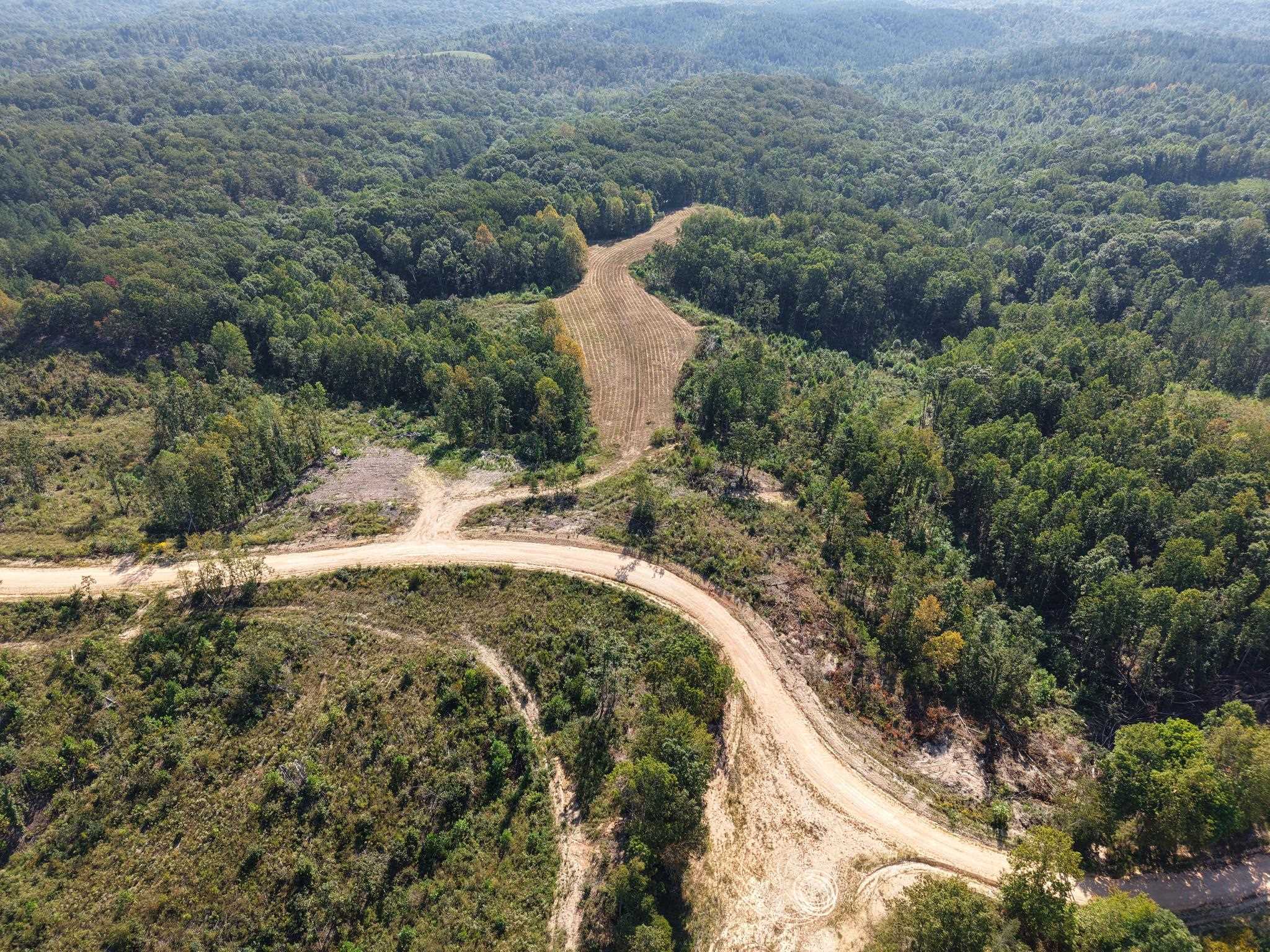 1960 Low Gap Road Sugar Tree, TN 38380 - Photo 2 of 35 Gallery Image 2