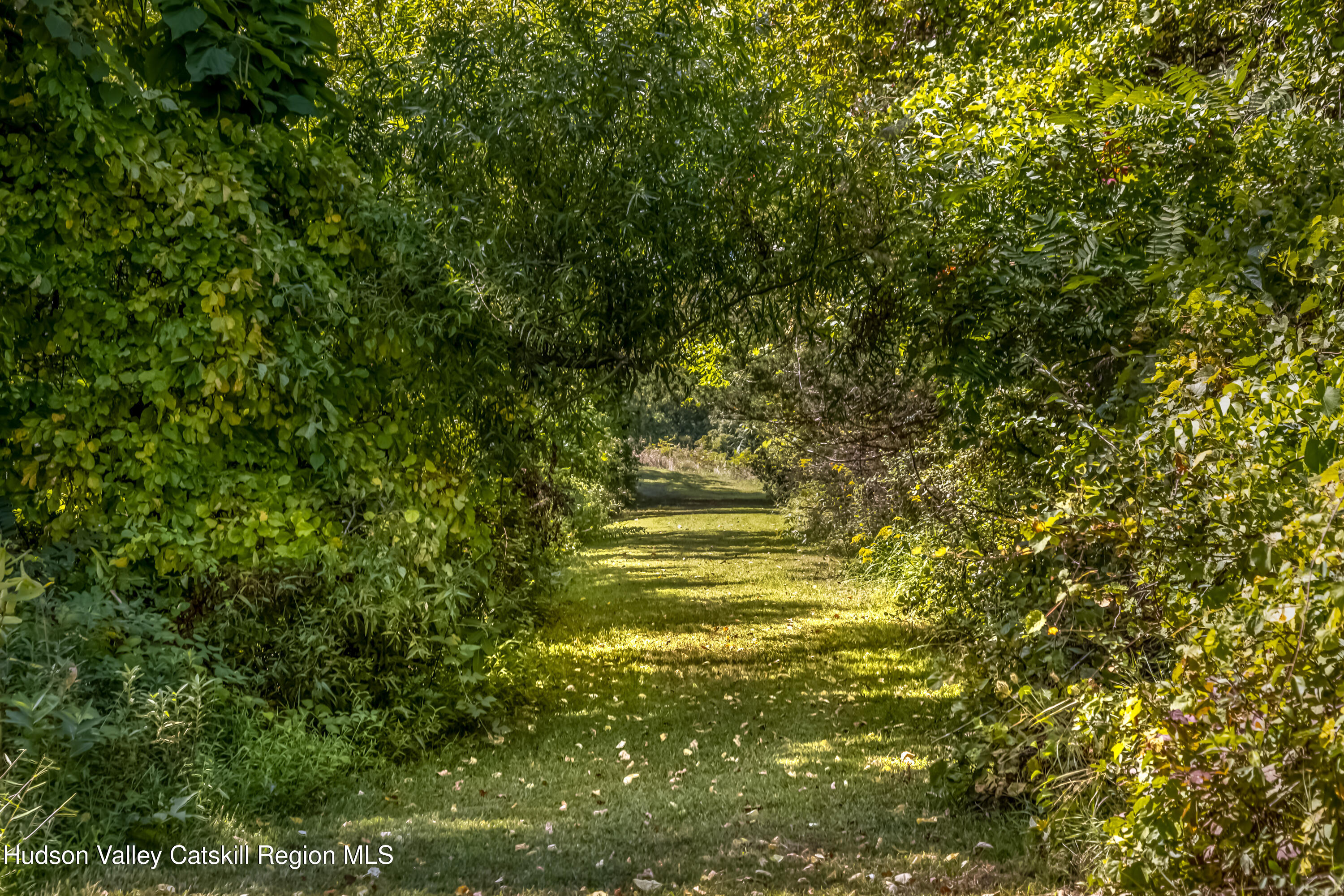 159 Sawmill Road Red Hook, NY 12571 - Photo 32 of 41 159_Sawmill_Rd_09-11-25--18