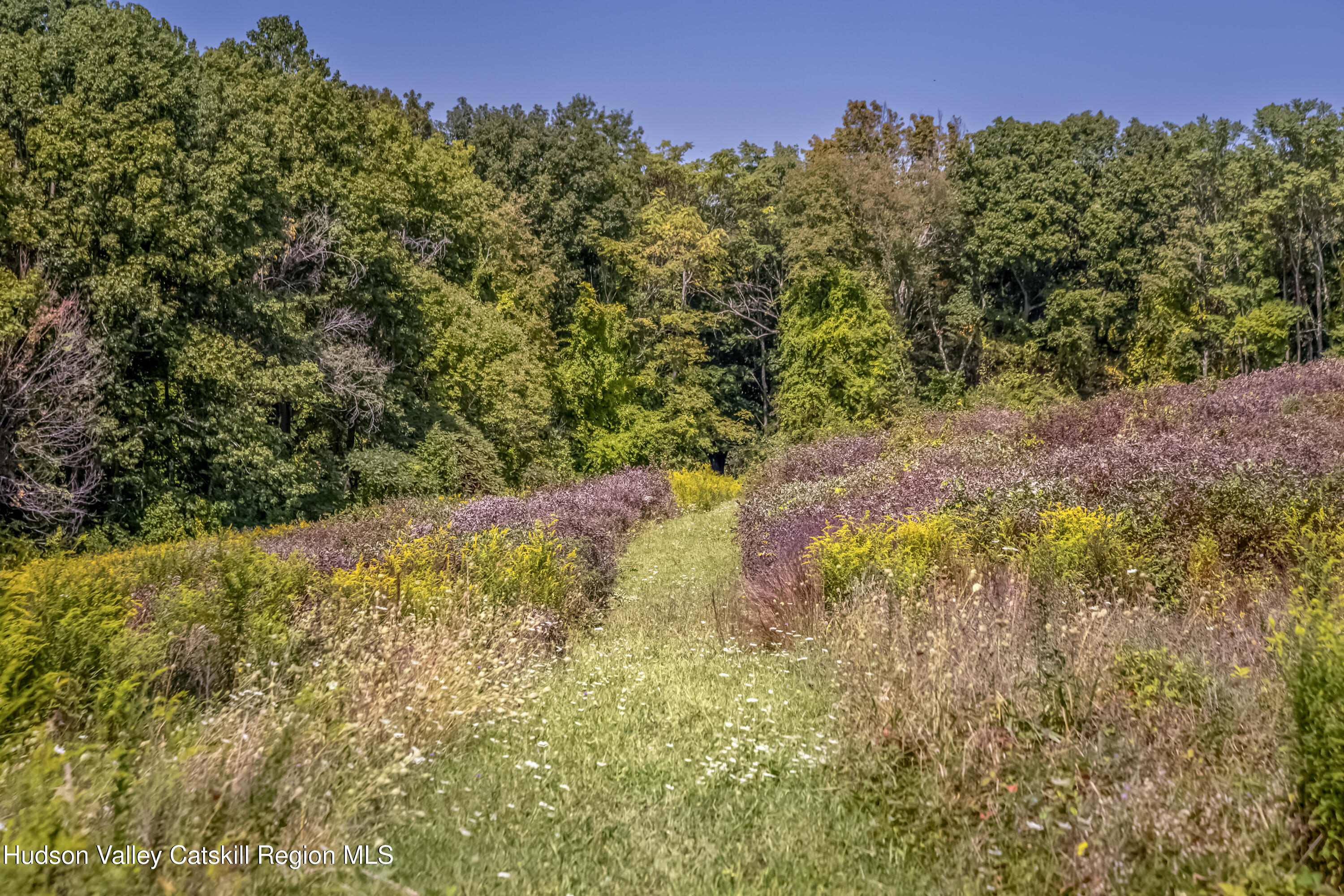 159 Sawmill Road Red Hook, NY 12571 - Photo 34 of 41 159_Sawmill_Rd_09-11-25--21