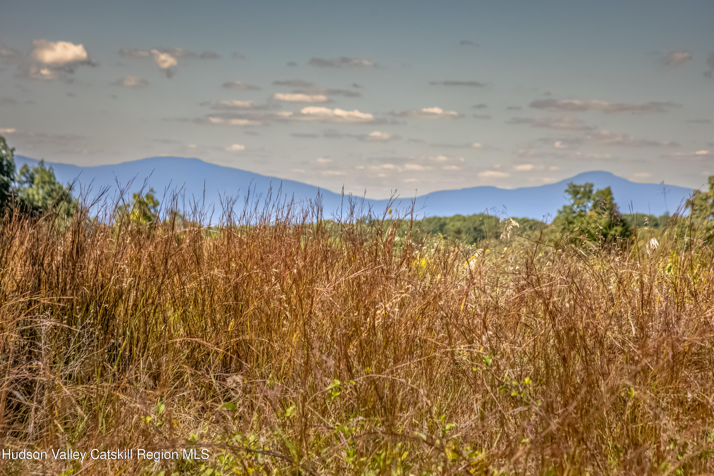 159 Sawmill Road Red Hook, NY 12571 - Photo 38 of 41 159_Sawmill_Rd_09-11-25-6054