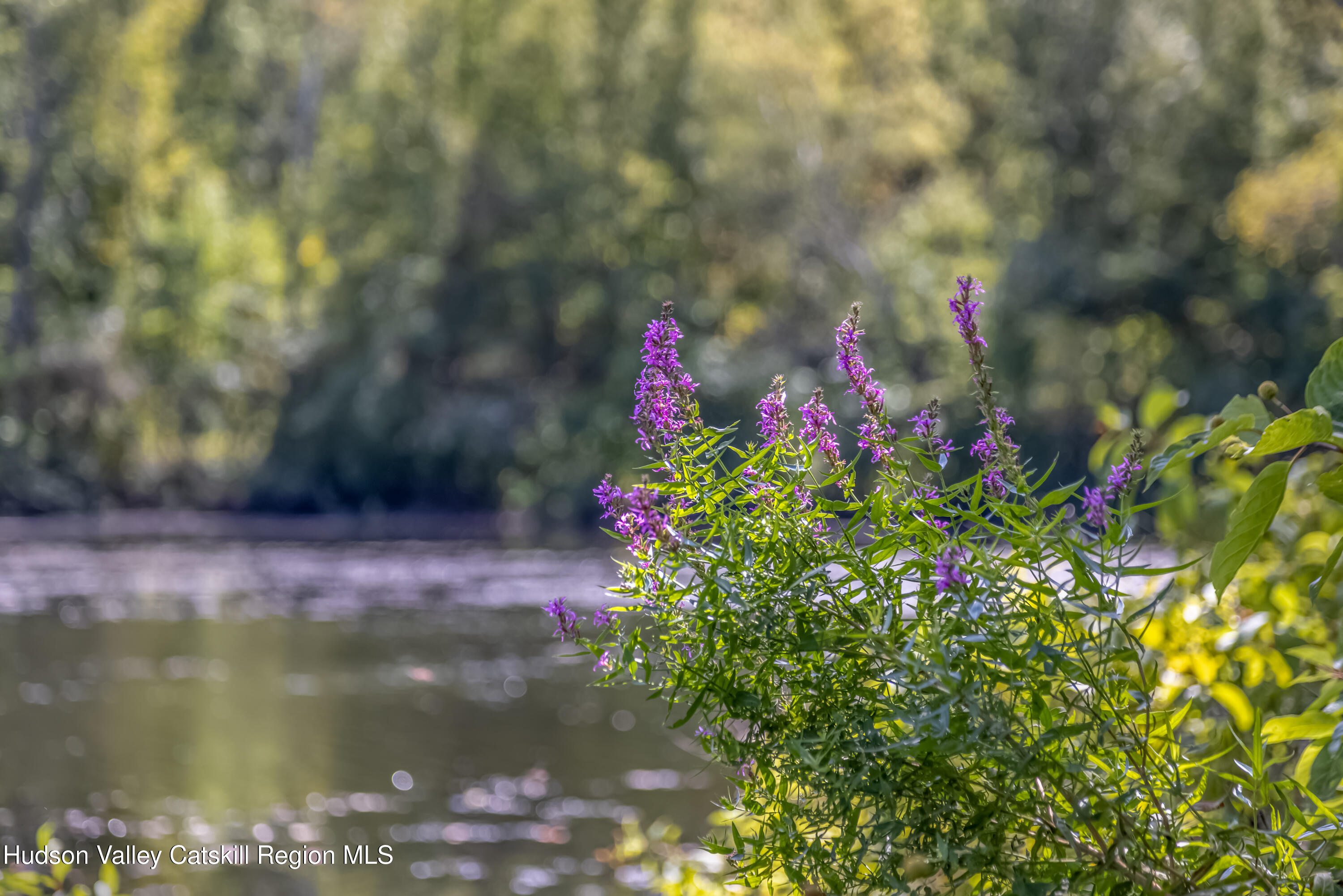 159 Sawmill Road Red Hook, NY 12571 - Photo 39 of 41 159_Sawmill_Rd_09-11-25-6119