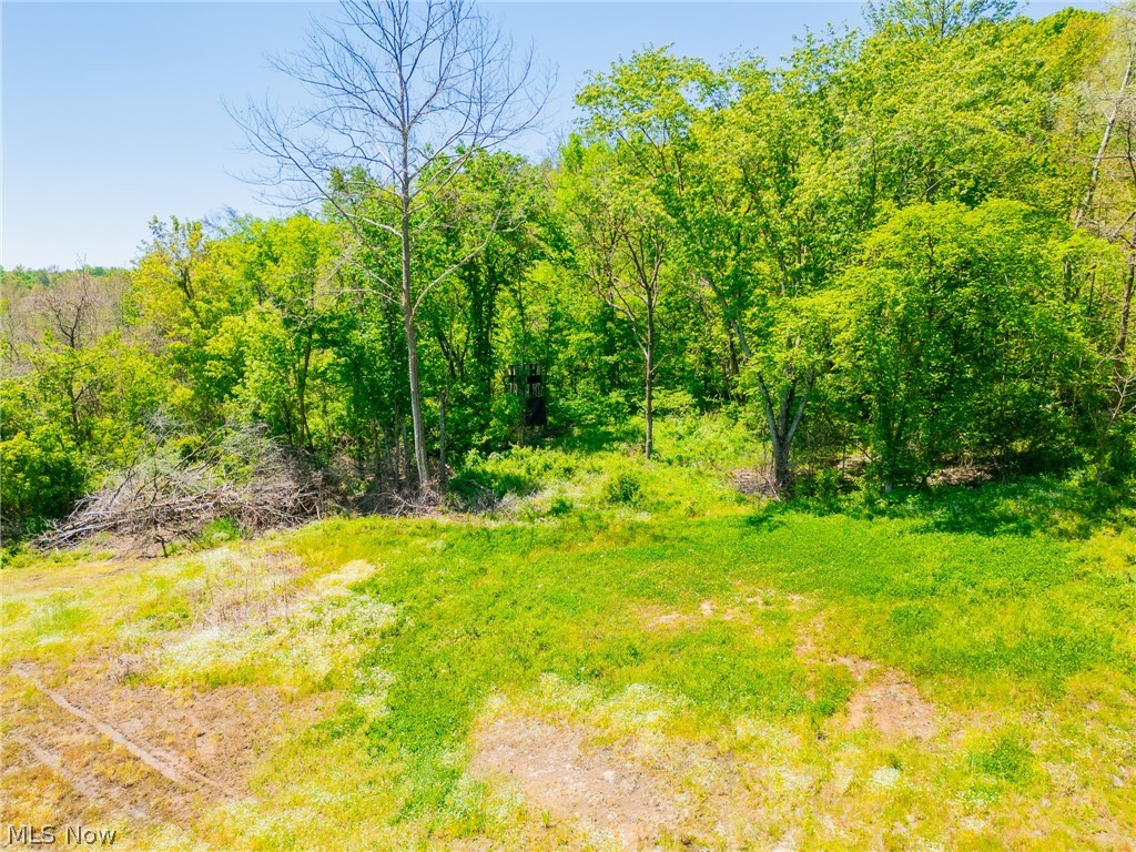 37500 Goose Run Road Dexter City, OH 45727 - Photo 17 of 50