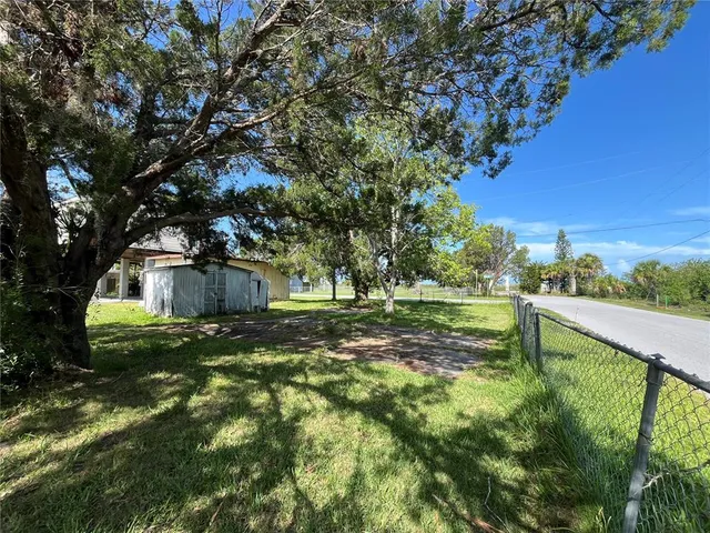 a view of a tree in a yard with a tree