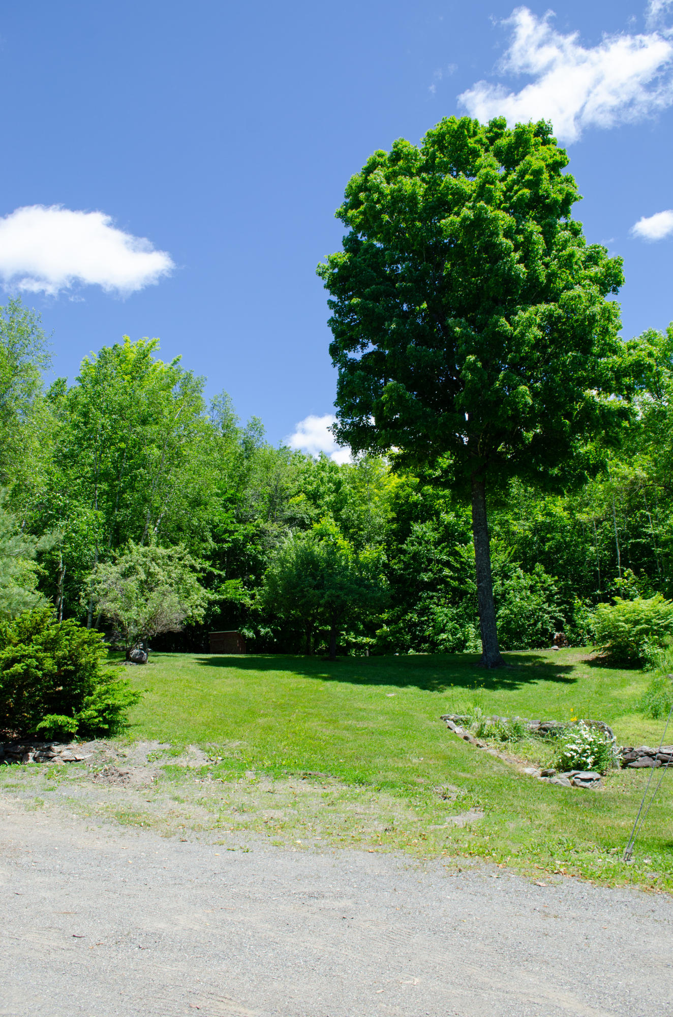 279 Mudgett Road Newburgh, ME 04444 - Photo 33 of 39 Side Yard
