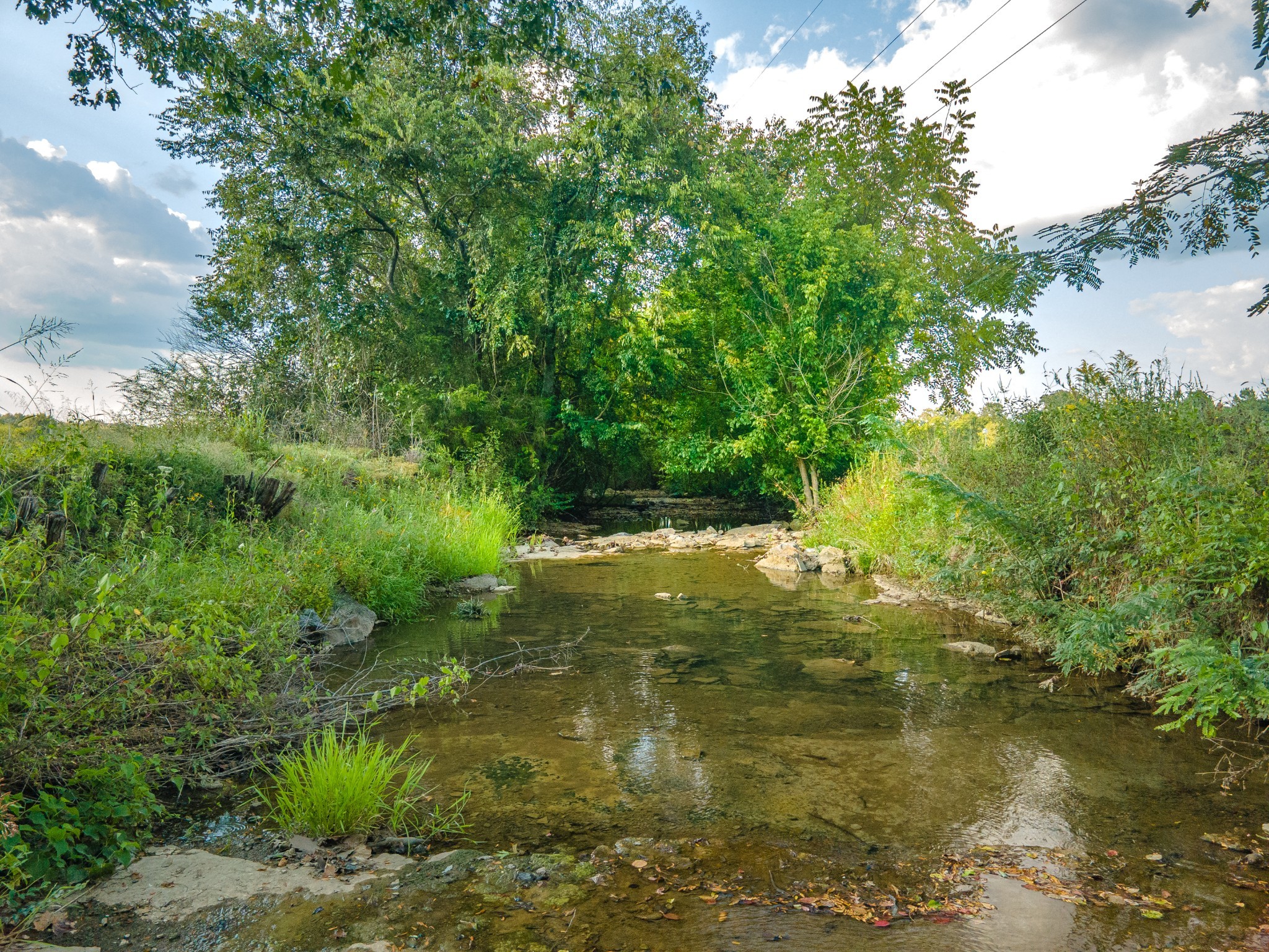 1642 Caughran Road Lewisburg, TN 37091 - Photo 89 of 92