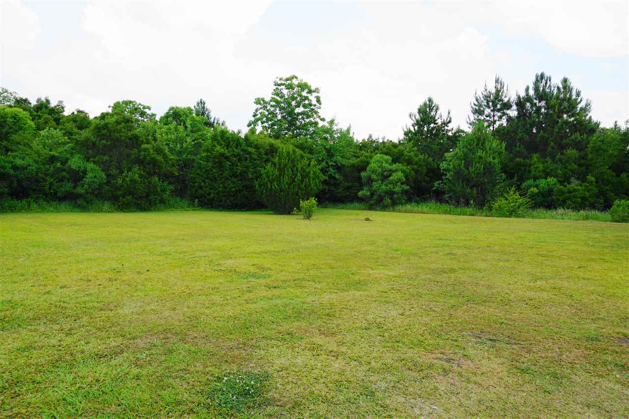 14125 County Road 49 Foley, AL 36535 - Photo 6 of 23