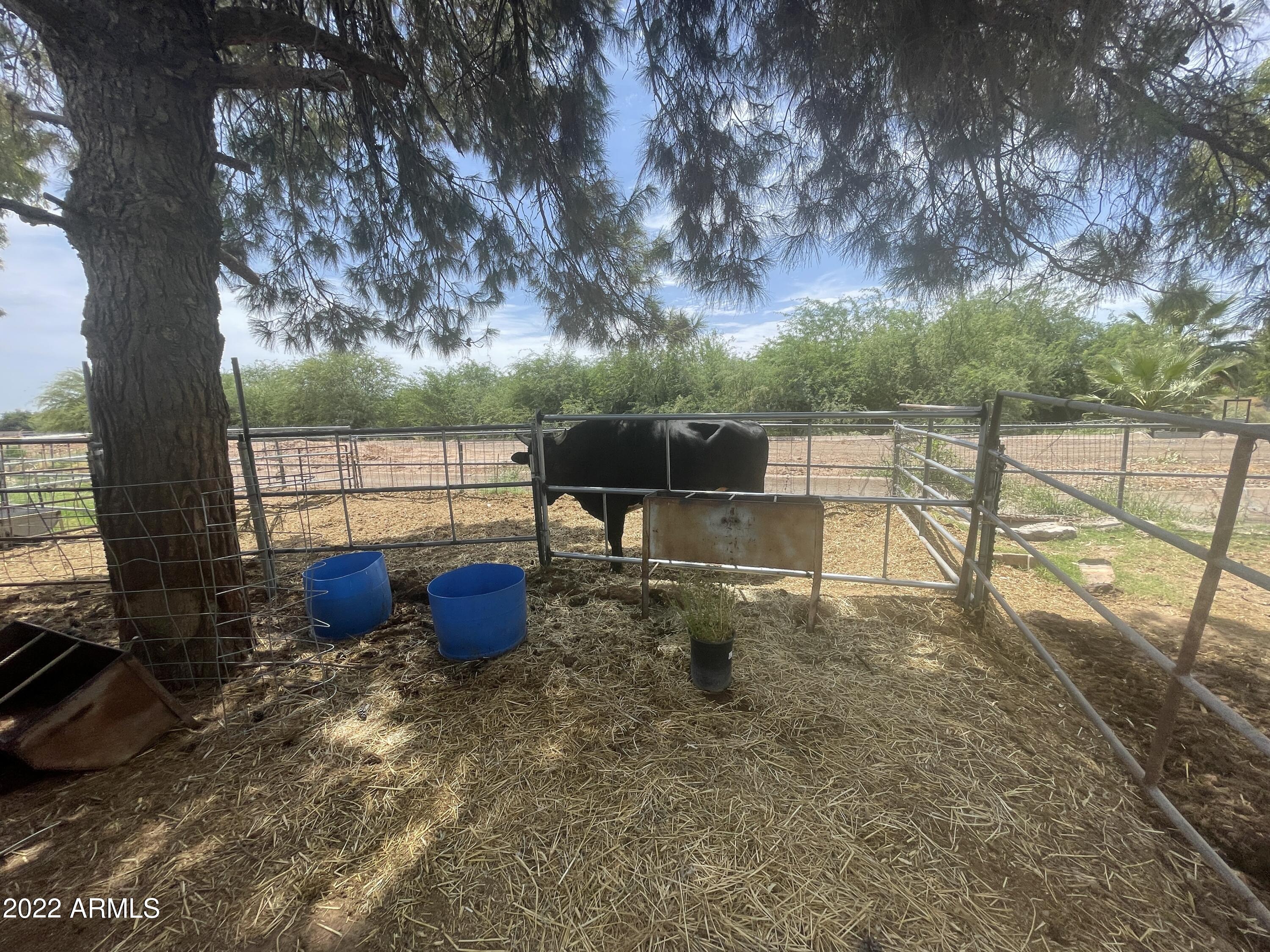 6429 West Fremont Road Laveen, AZ 85339 - Photo 14 of 19 IMG_3308 1