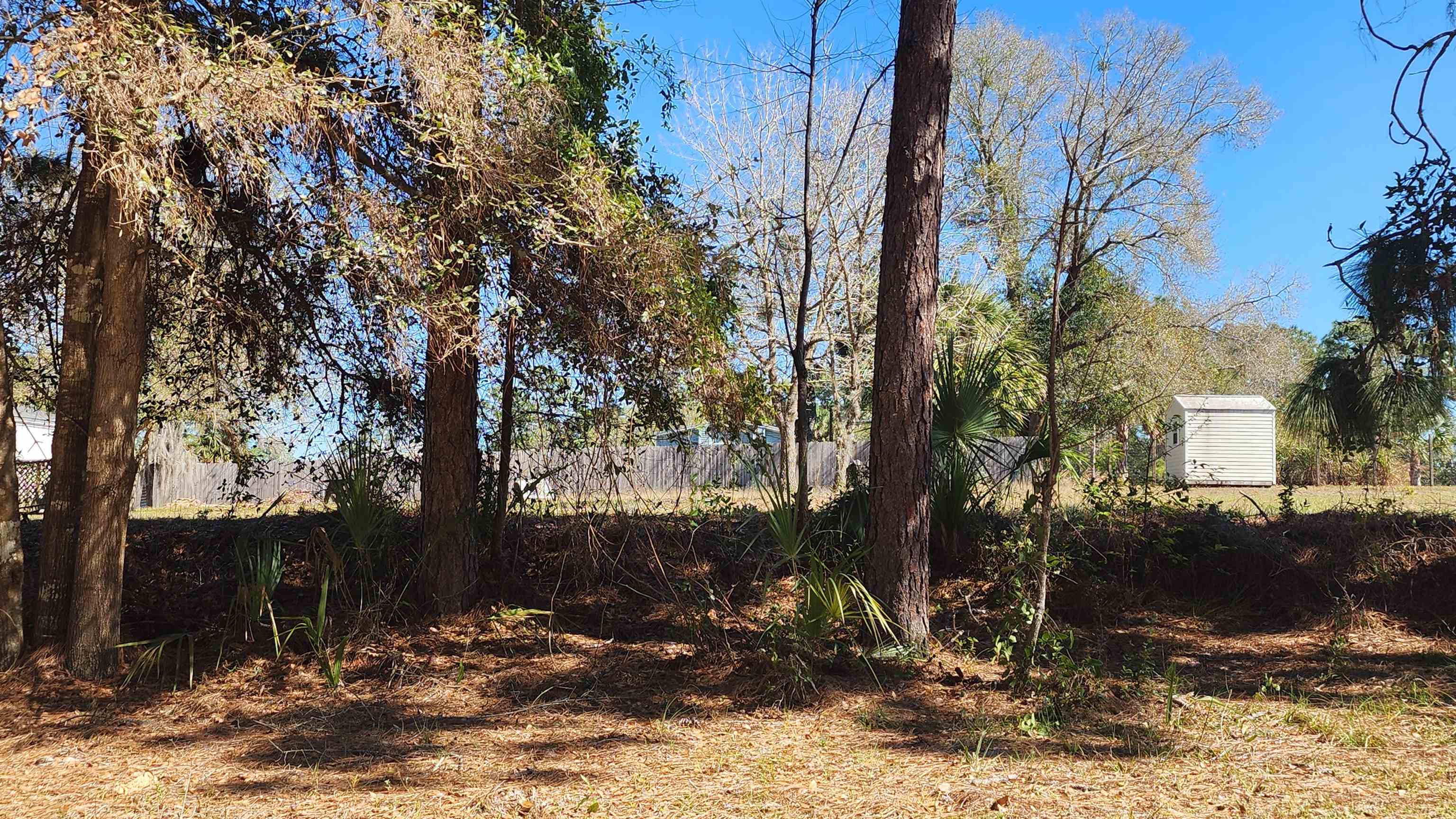 0 Edgehill Road Satsuma, FL 32189 - Photo 1 of 1