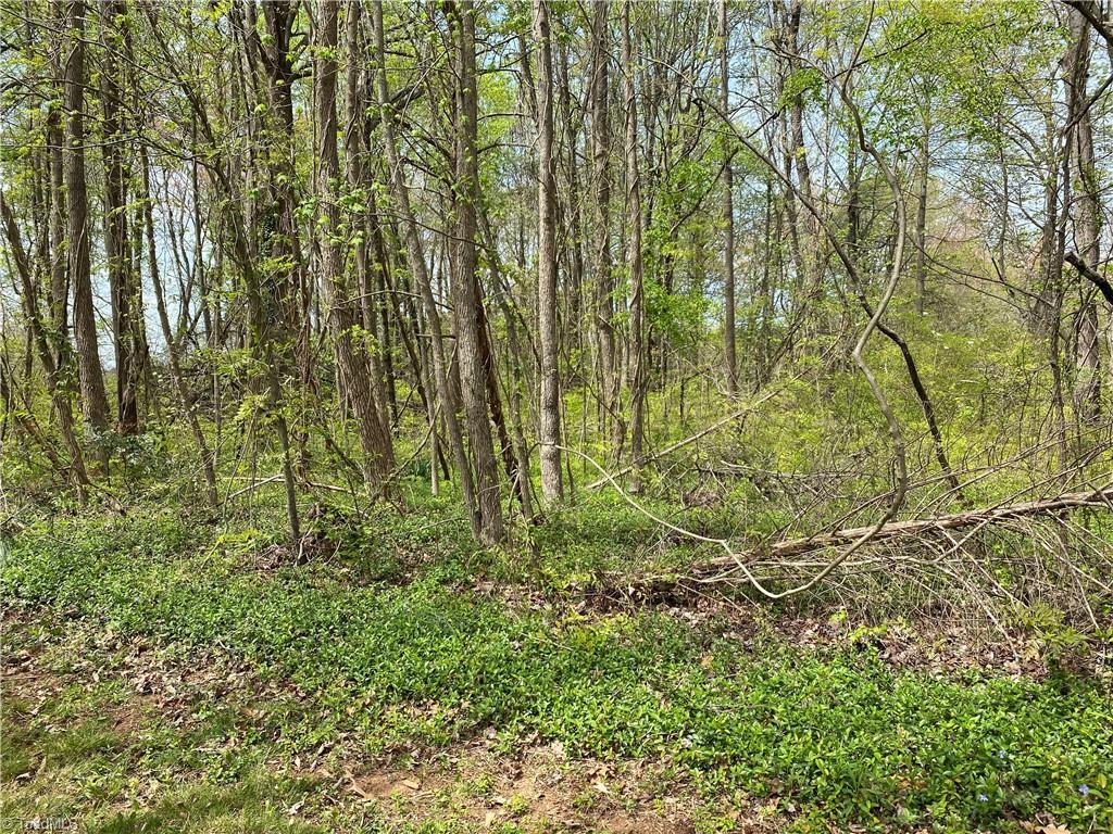 590 Bethania-Rural Hall Road Rural Hall, NC 27045 - Photo 3 of 13