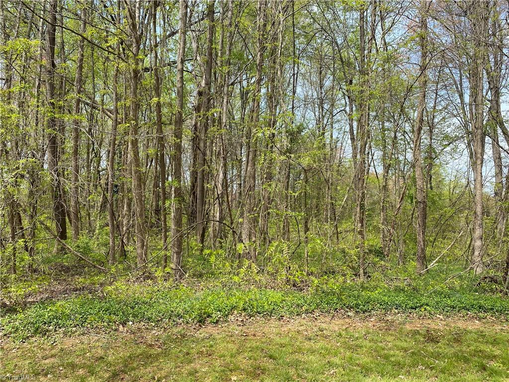 590 Bethania-Rural Hall Road Rural Hall, NC 27045 - Photo 4 of 13