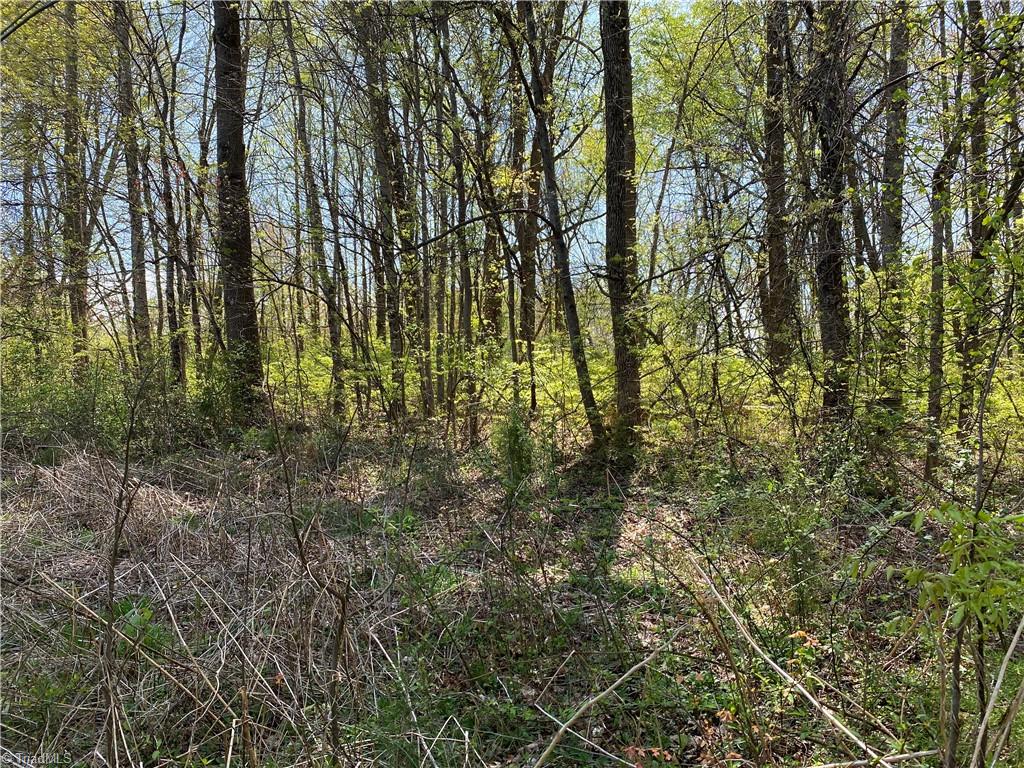 590 Bethania-Rural Hall Road Rural Hall, NC 27045 - Photo 7 of 13