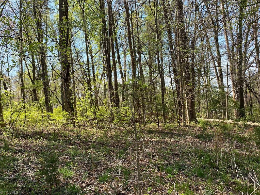590 Bethania-Rural Hall Road Rural Hall, NC 27045 - Photo 8 of 13