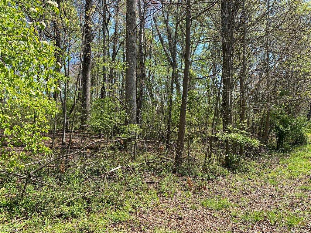 590 Bethania-Rural Hall Road Rural Hall, NC 27045 - Photo 9 of 13