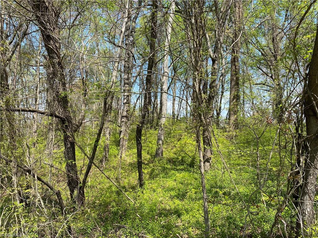 590 Bethania-Rural Hall Road Rural Hall, NC 27045 - Photo 10 of 13