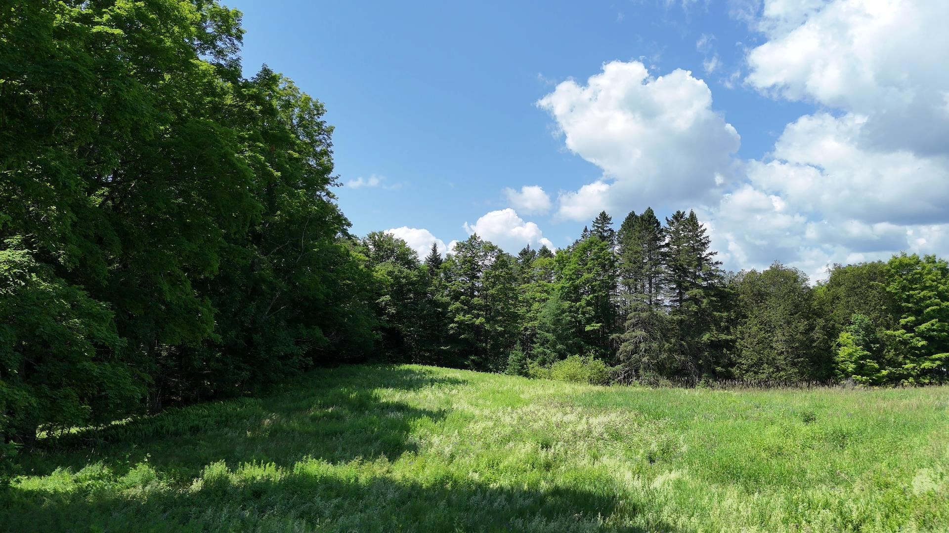 0 Old Farm Road West Burke, VT 05871 - Photo 20 of 25