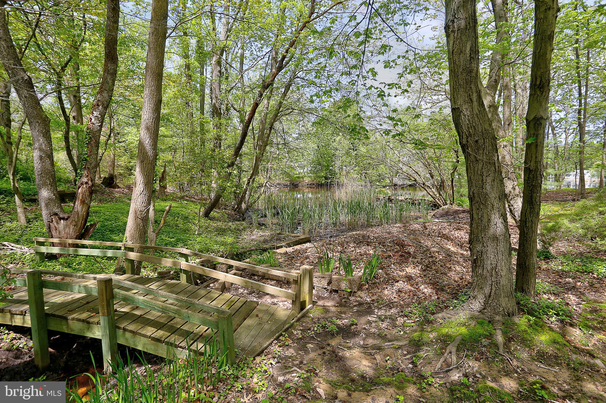1868 Potomac Road Pasadena, MD 21122 - Photo 13 of 45 Peaceful seclusion