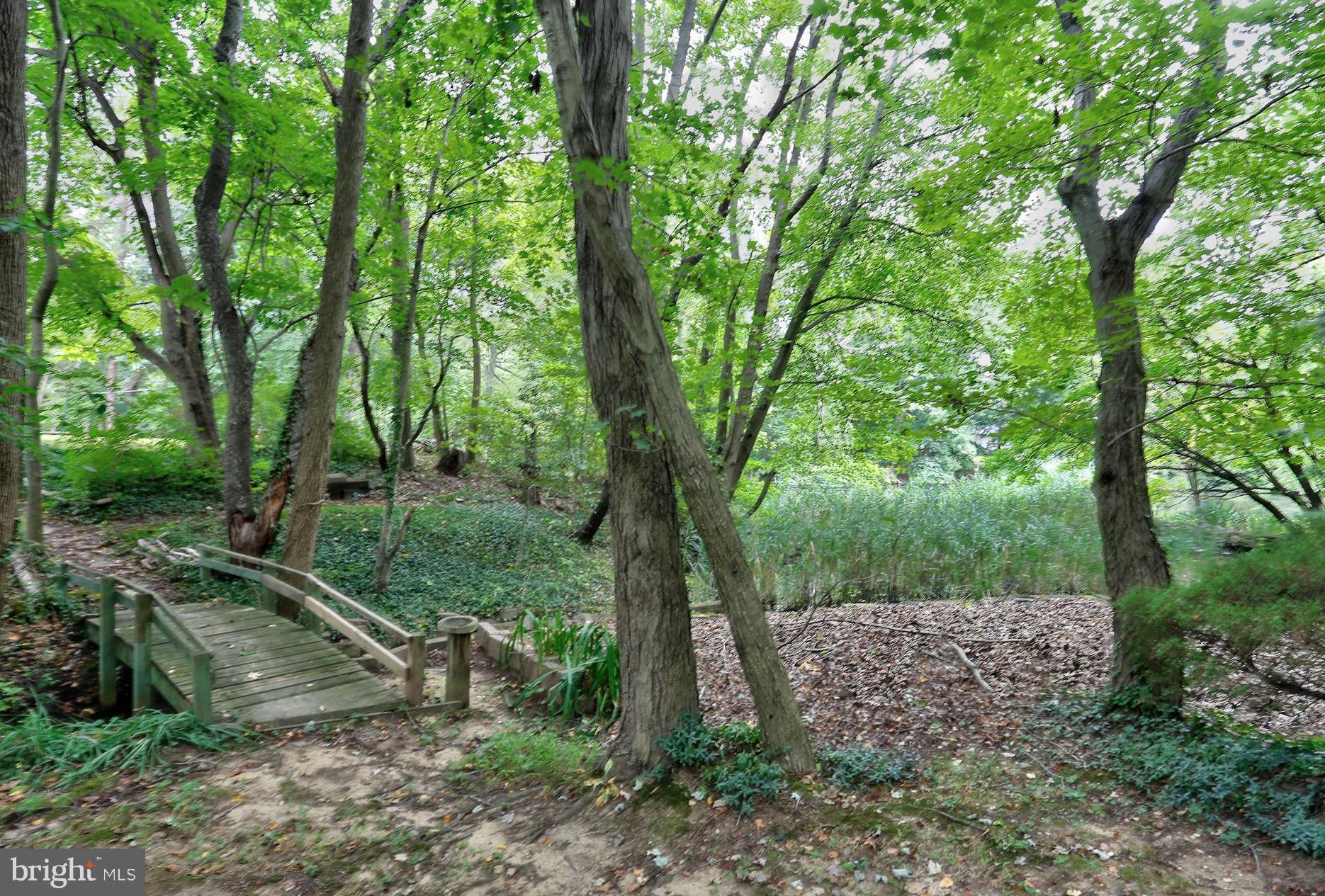 1868 Potomac Road Pasadena, MD 21122 - Photo 14 of 45 .53 acres of privacy