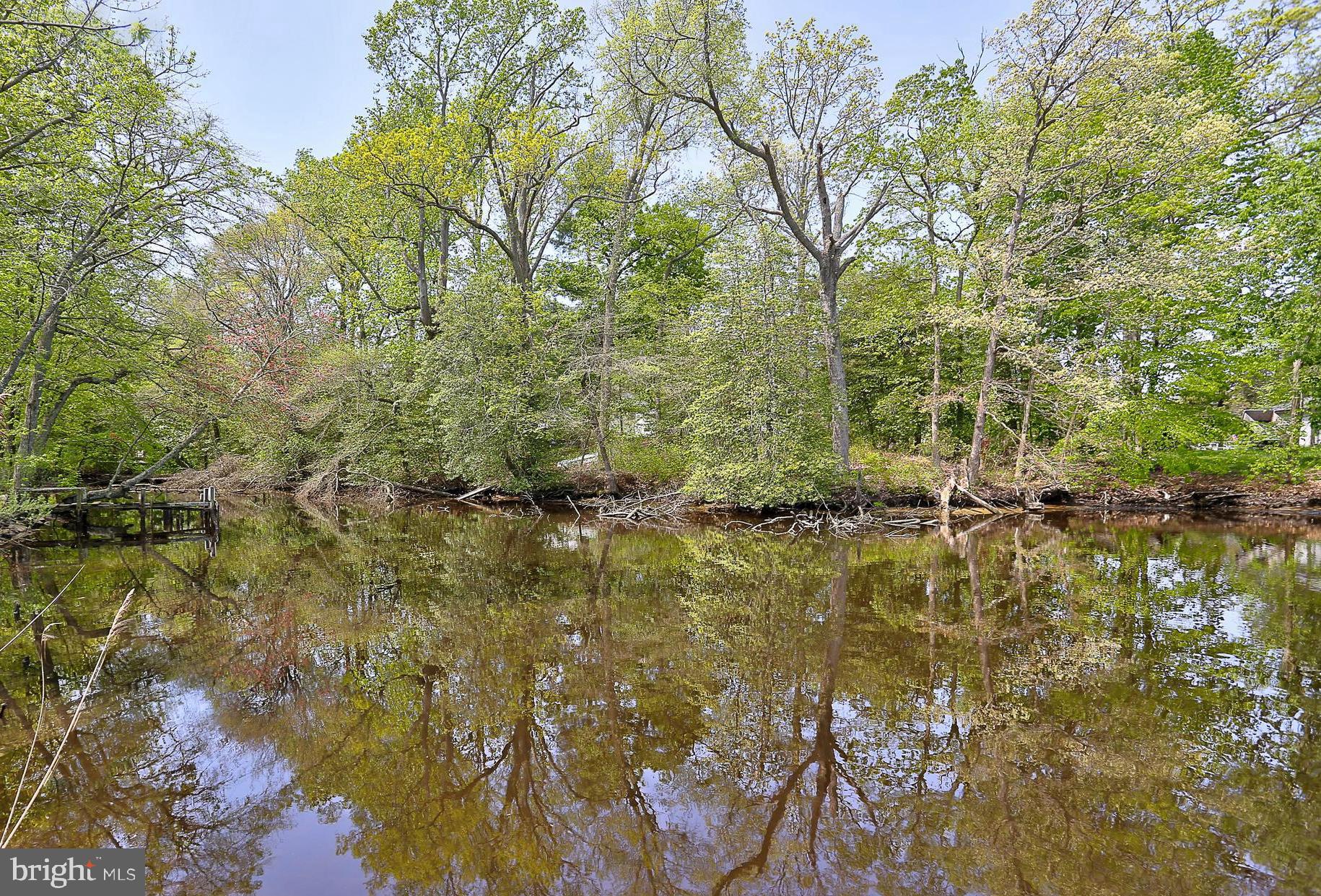 1868 Potomac Road Pasadena, MD 21122 - Photo 4 of 45 Natural beauty and wildlife abound