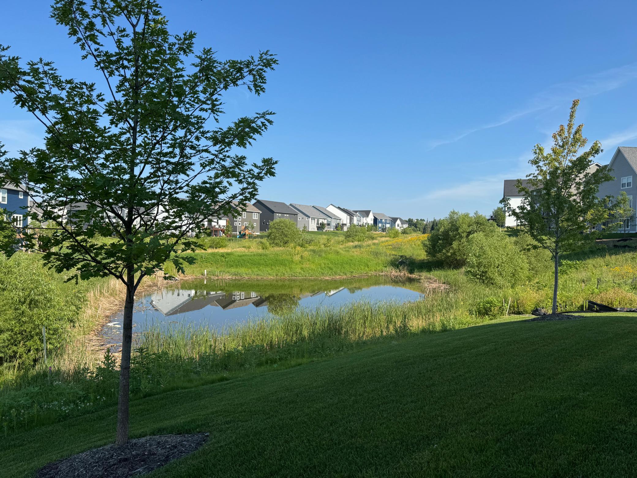 10125 Corral Way Victoria, MN 55318 - Photo 3 of 63